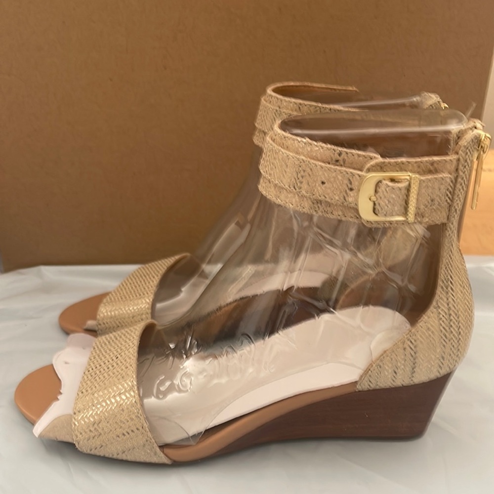 Ugg Women’s Char Metallic Sandal